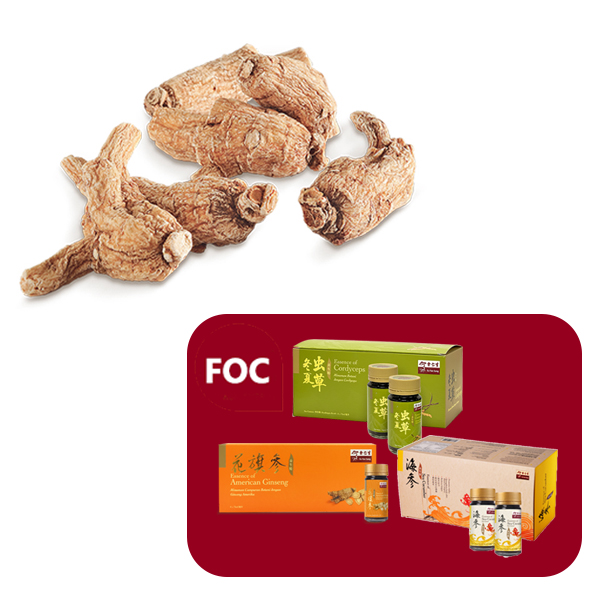 Matured American Ginseng 600gm (pack with slices) FOC Essence of Cordyceps + Essence of Sea Cucumber + Essence of American Ginseng