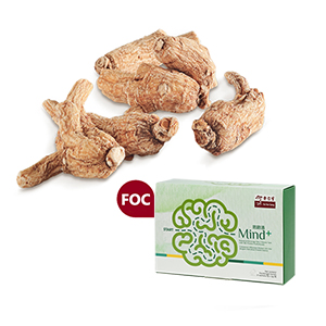 Matured American Ginseng 300gm (pack with slices) FOC Mind+
