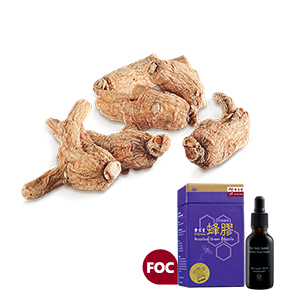 老山泡参粒 600克 (切片包装) 赠送巴西绿色蜂胶