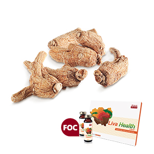 老山泡参粒 600克 (切片包装) 赠送Liva Health