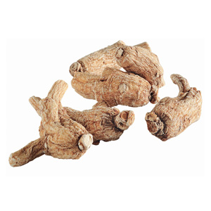 Matured American Ginseng 1gm