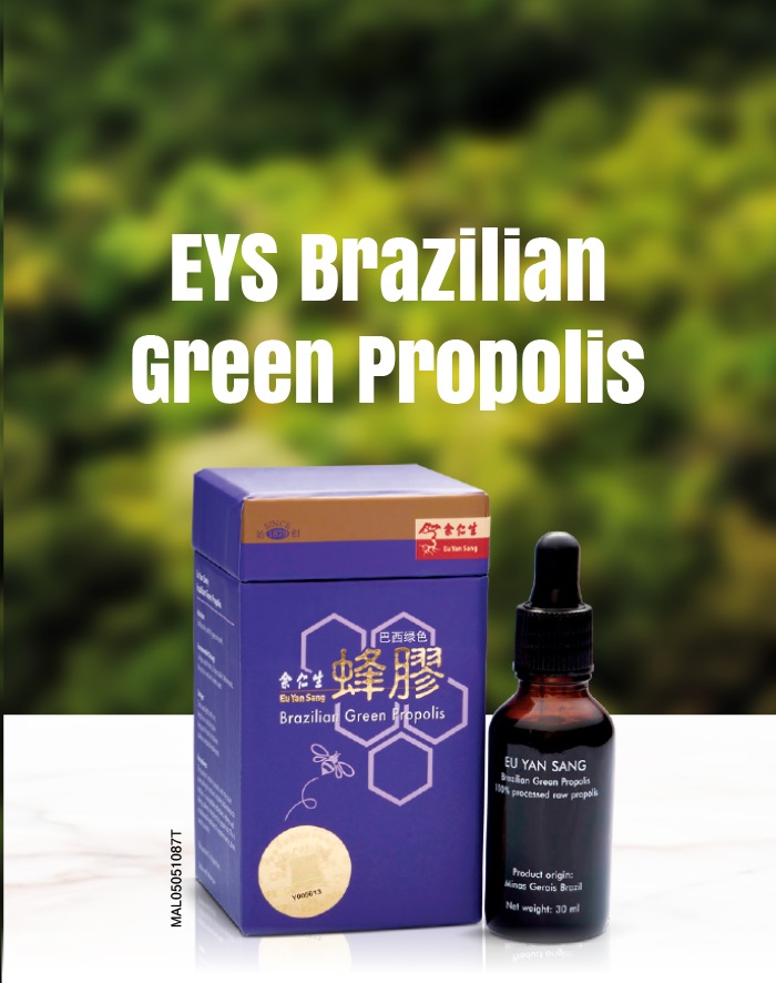 Propolis brazil